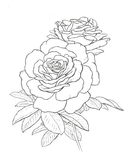451x552 Rose Coloring Pages Coloring Book Rose Coloring Coloring Book