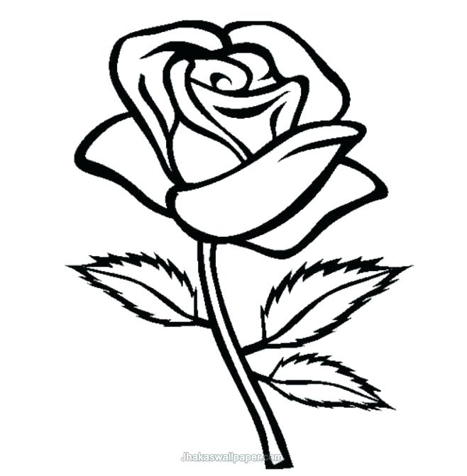 658x671 Roses Coloring Pages Printable