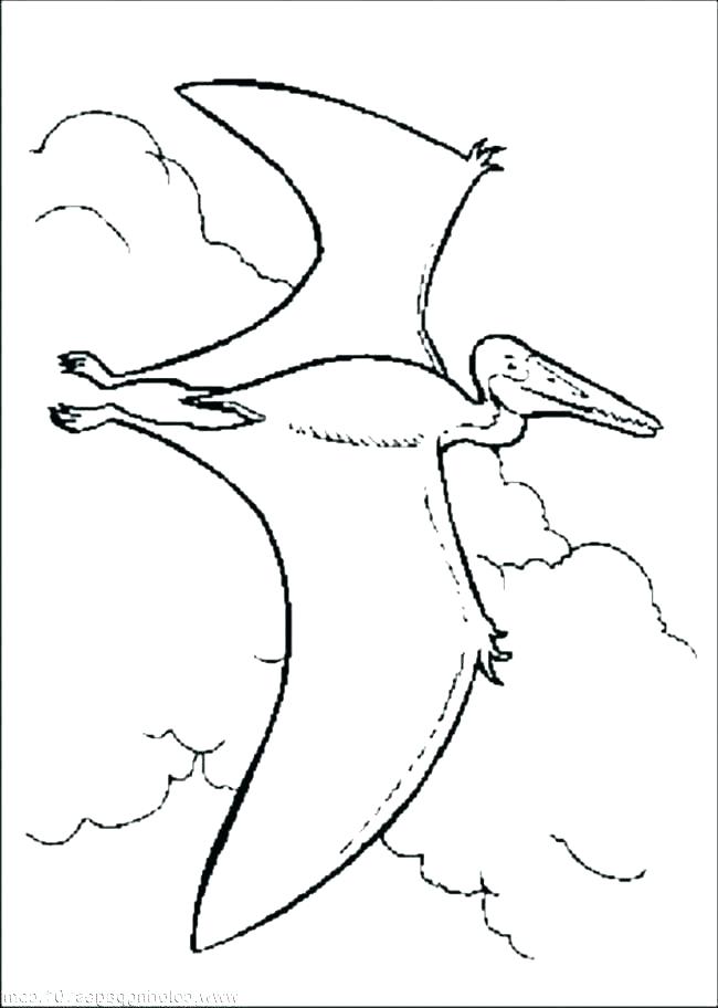 650x912 Rottweiler Coloring Pages Rottweiler Puppy Coloring Page Printable