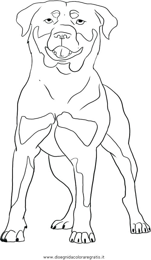 500x860 Rottweiler Coloring Pages Rottweiler Puppy Rottweiler Puppies