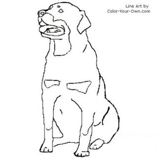 320x320 Rottweiler Coloring Page Inkspired Musings Let's All Go