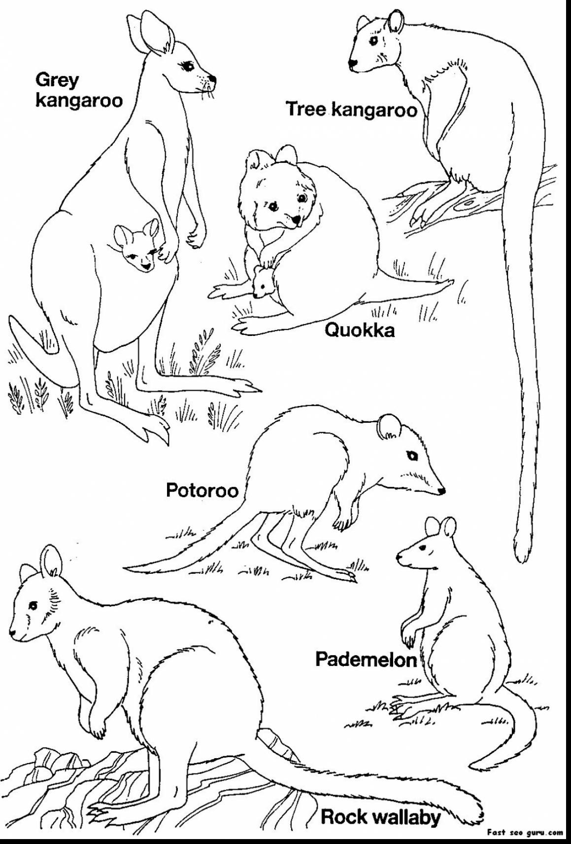 1159x1711 Lovely Rowdyruff Boys Coloring Pages Advanced Coloring Pages