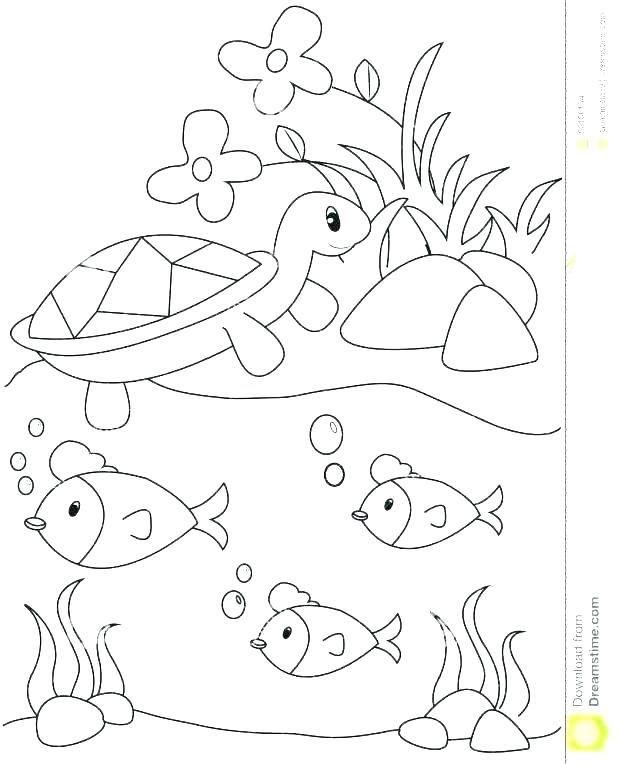 618x764 Pond Coloring Page Plants Coloring Page Pond Coloring Pages Pond
