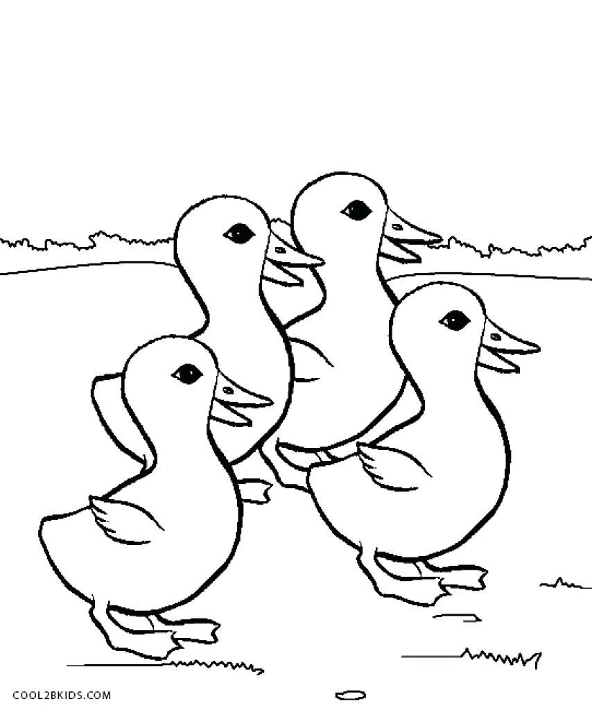 854x1024 Freele Daisy Duck Coloring Pages Daffy Dynasty Donald