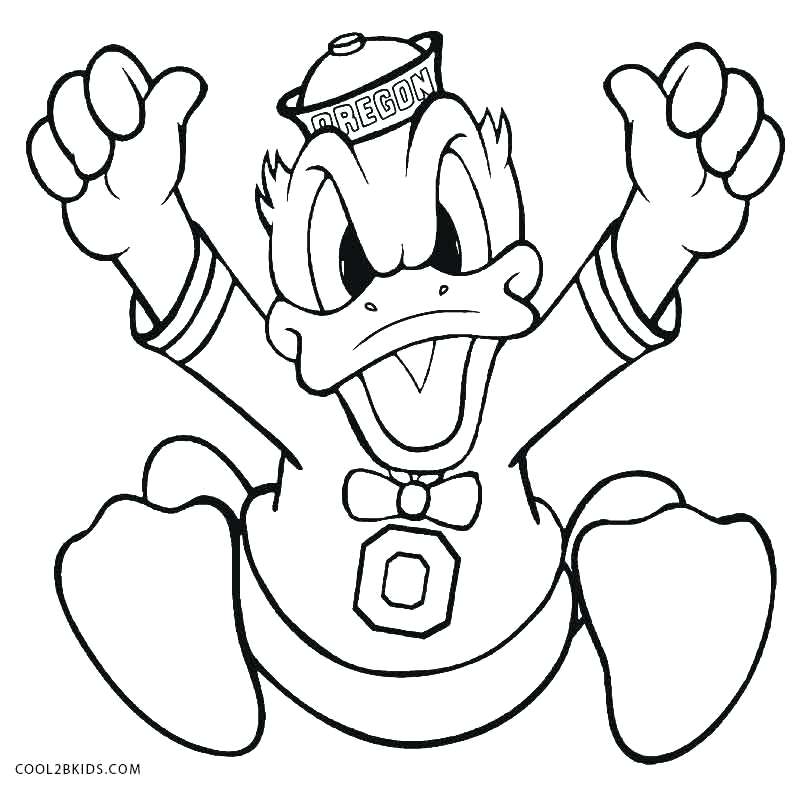 800x791 Rubber Duck Coloring Pages