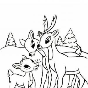 300x300 Rudolph The Red Nosed Reindeer Coloring Pages Rudolphs Family
