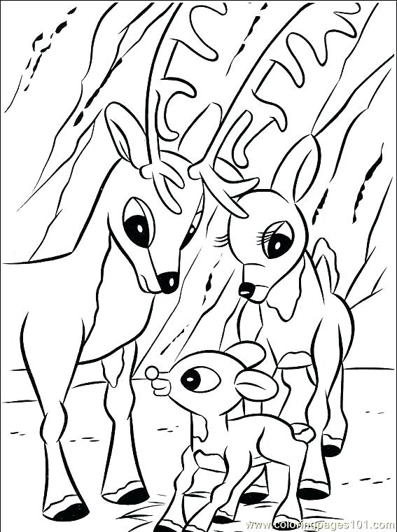 567x760 Rudolph The Red Nosed Reindeer Coloring Sheet Coloring Page