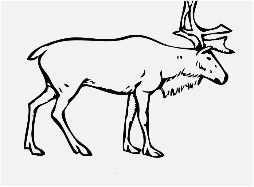 827x609 Reindeer Coloring Pages Pics Reindeer Coloring Page With Rudolph