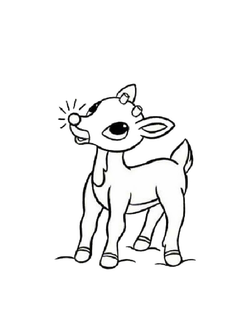 800x1034 Rudolph Reindeer Coloring Pages