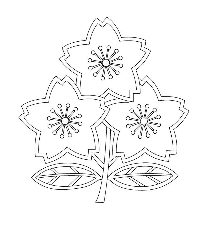820x900 Australian Flag Coloring Page Free Printable New Zealand