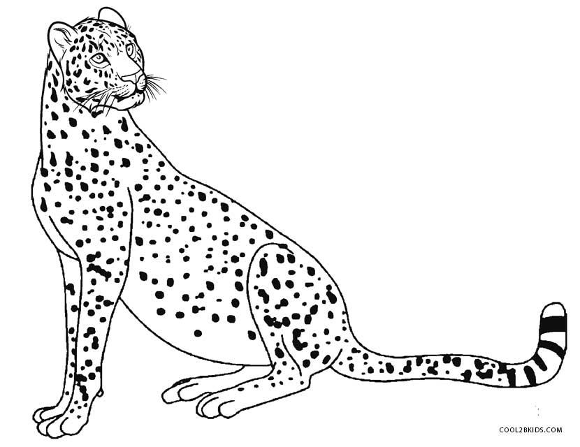 830x640 Cheetah Coloring Pages New Baby Cheetah Coloring Page Logo