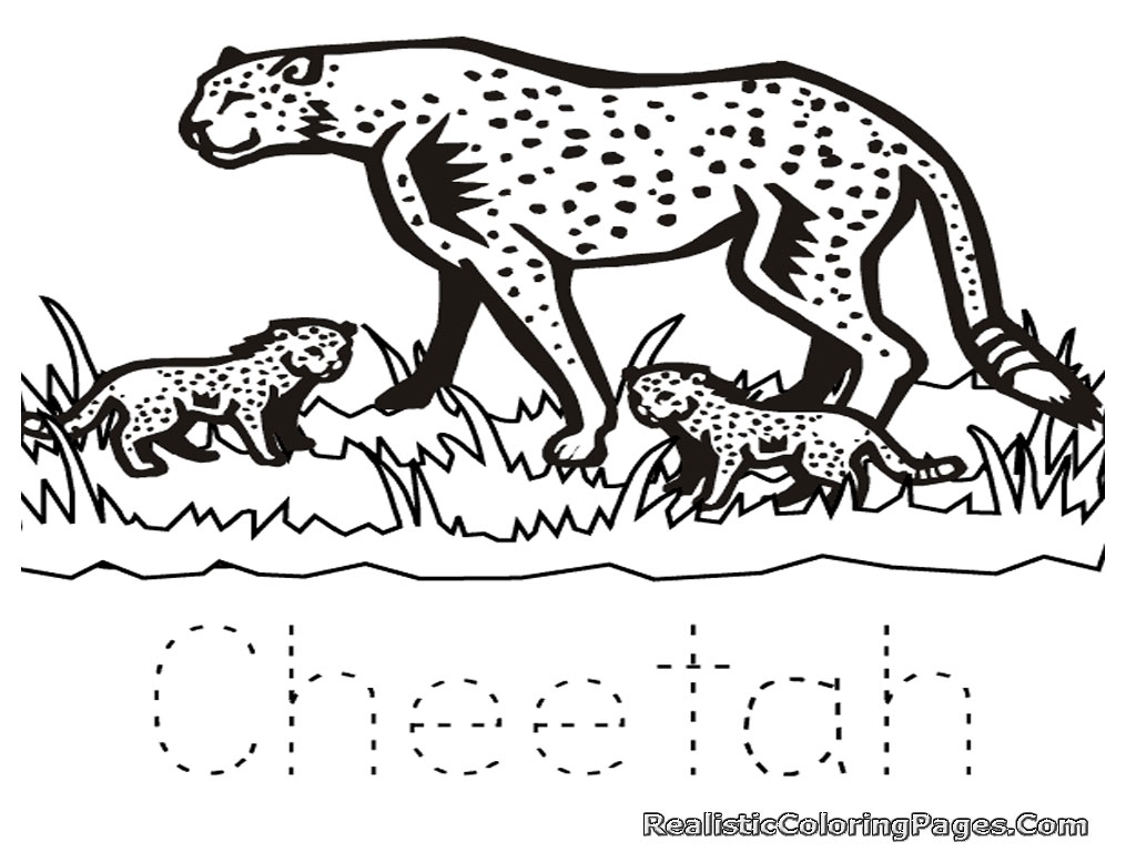 1024x768 Cheetah Coloring Page With Running Beautiful Pages