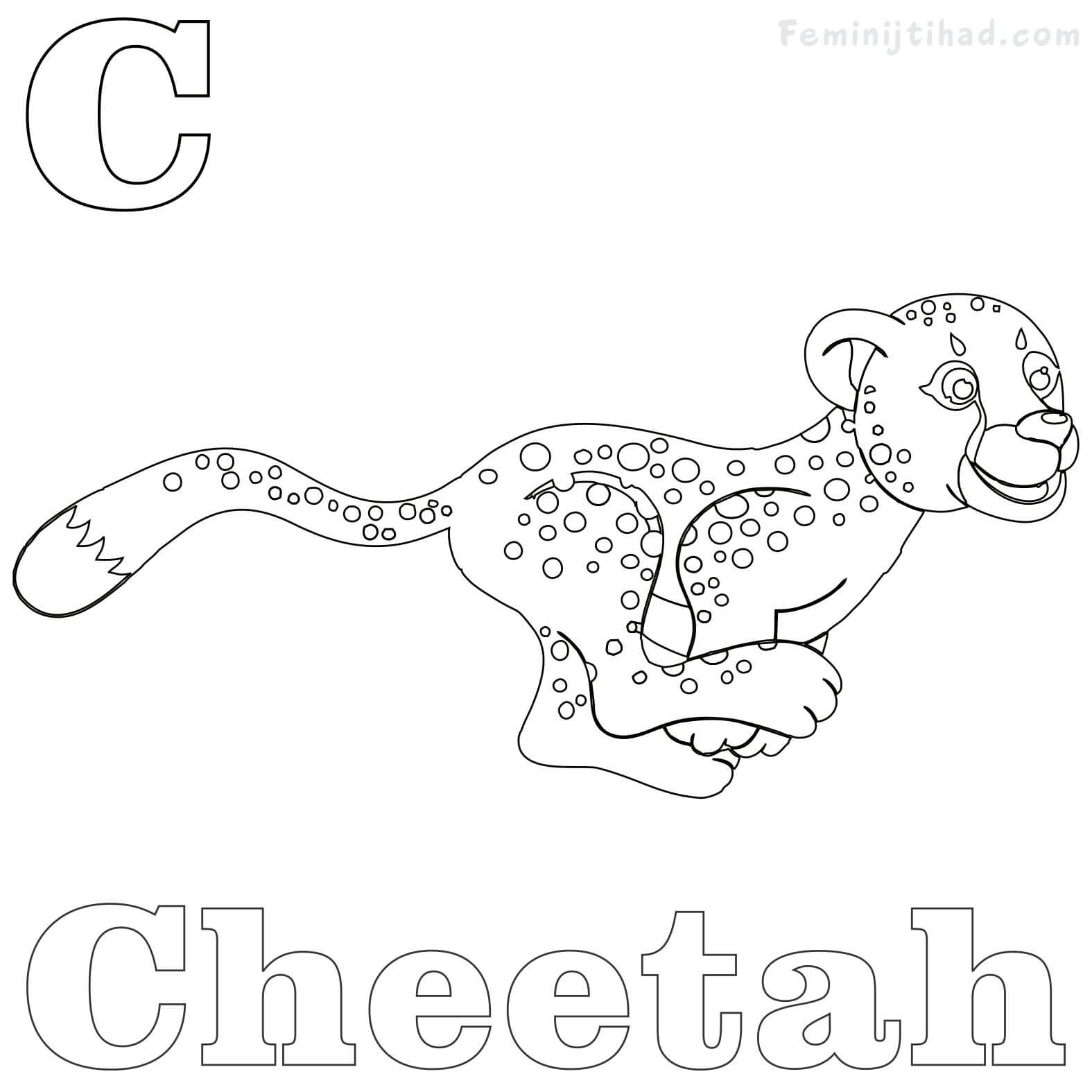 1575x1575 Cheetah Coloring Pages Collection Coloring Pages For Kids