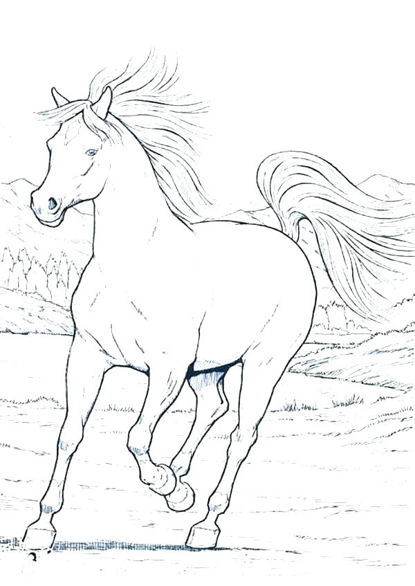 600x847 Coloring Pages Horses Running Modelo