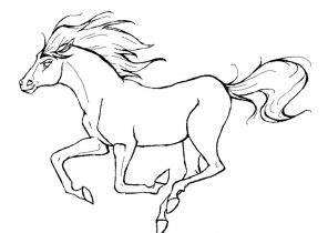 296x210 Horse Coloring Pages