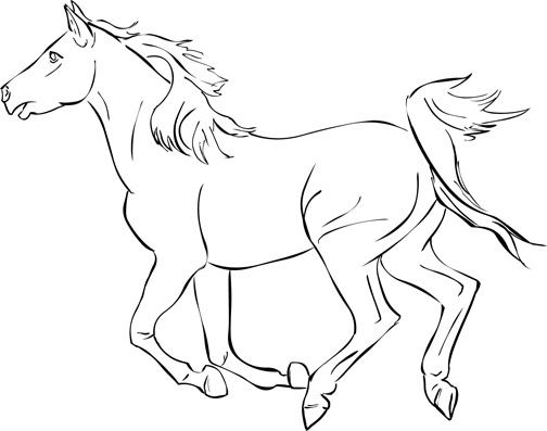 504x397 Horse Coloring Pages Free Horse Coloring Pages Get Out Your