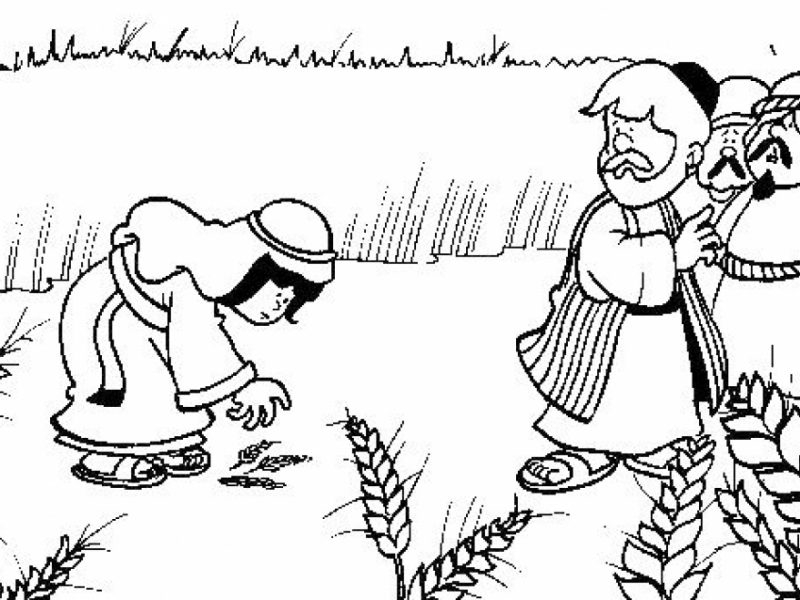 800x600 Coloring Pages