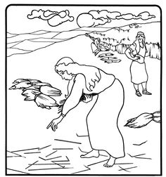 236x252 Image Result For Ruth And Boaz Coloring Sheets Bible
