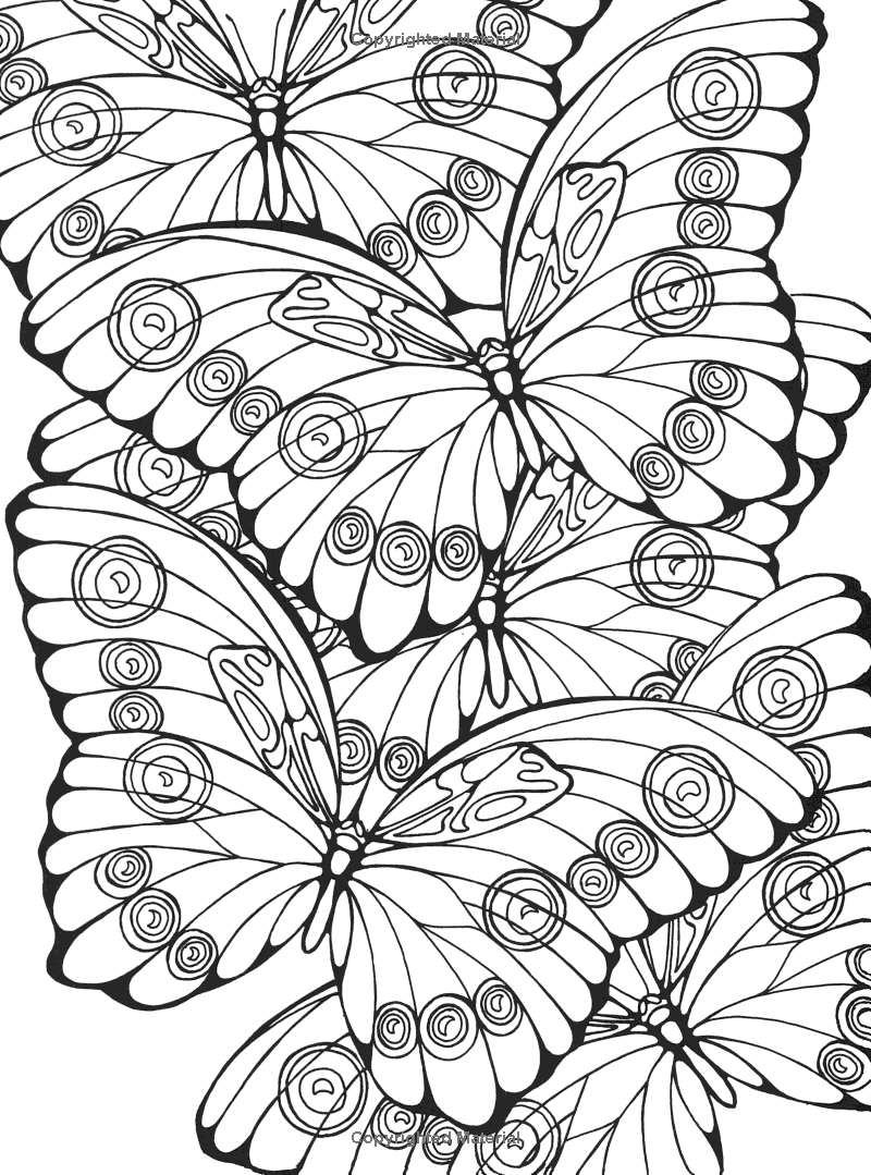 800x1079 Printable Designs For Coloring Butterflies Ruth Heller