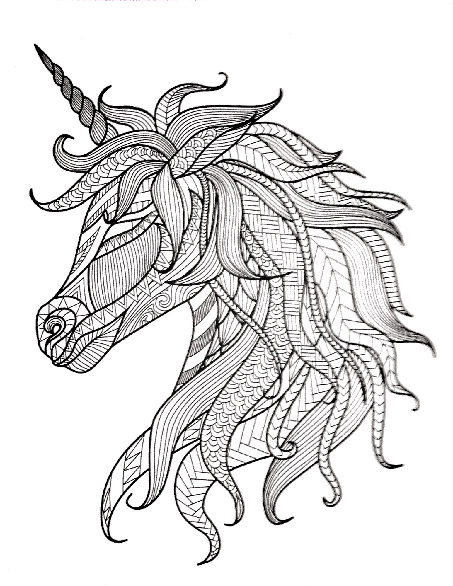 1546x2000 Fresh Saddle Coloring Pages Free Coloring Pages Download