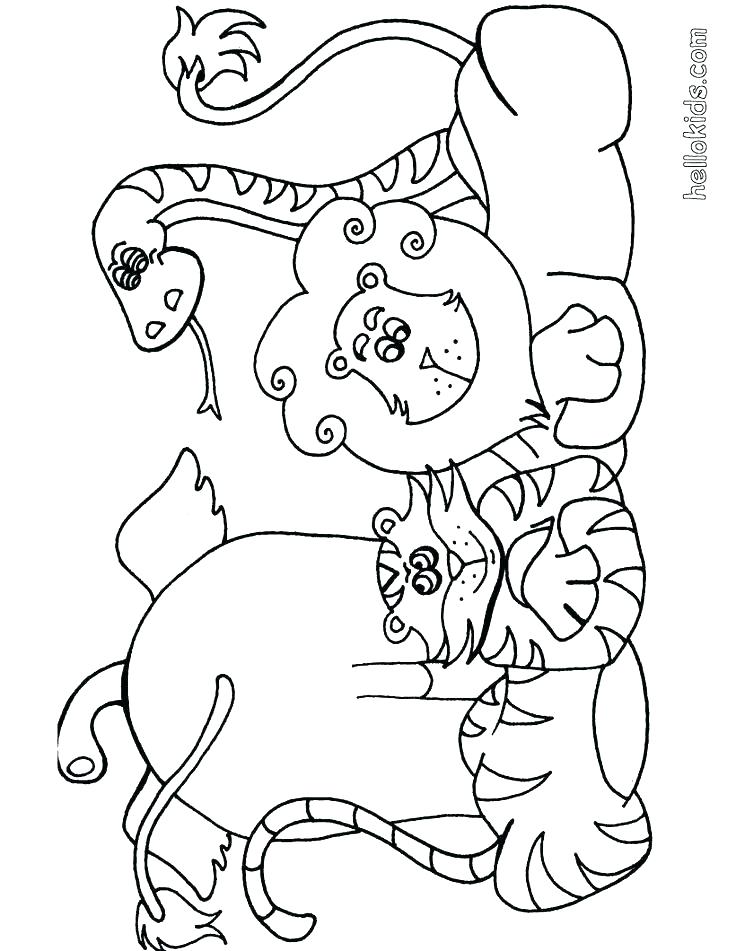 736x951 Printable Baby Safari Animals Safari Animal Coloring Pages