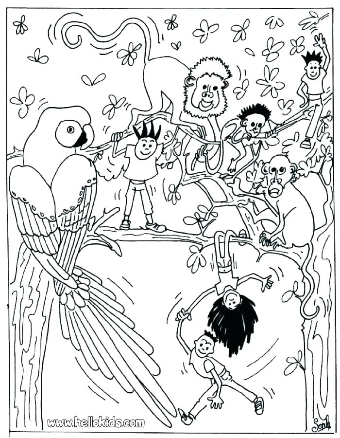 700x900 Safari Coloring Pages Safari Coloring Page Coloring Pages Animals