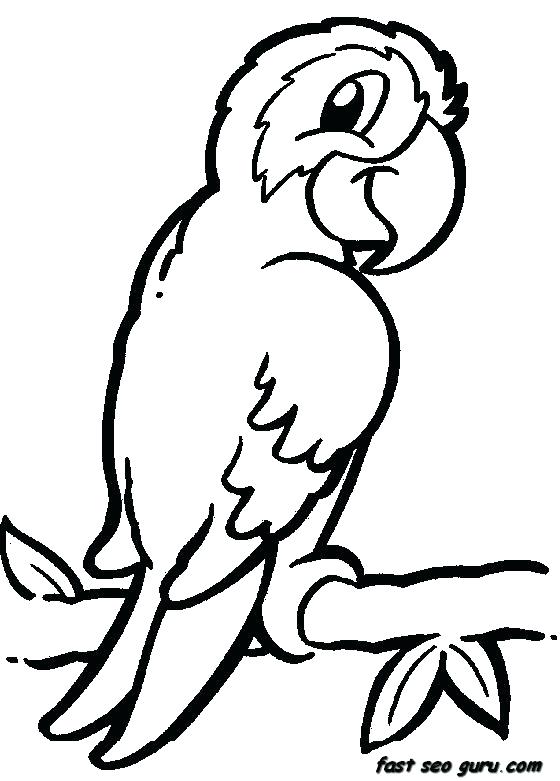 560x781 Safari Coloring Pages