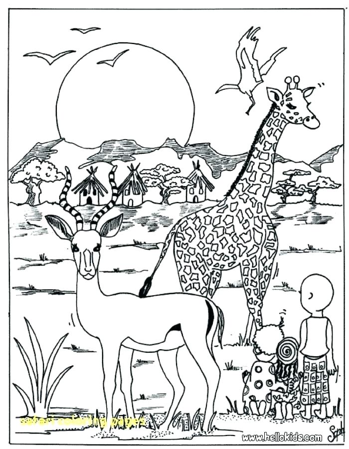 700x900 Fancy Safari Animals Coloring Pages For Coloring Site