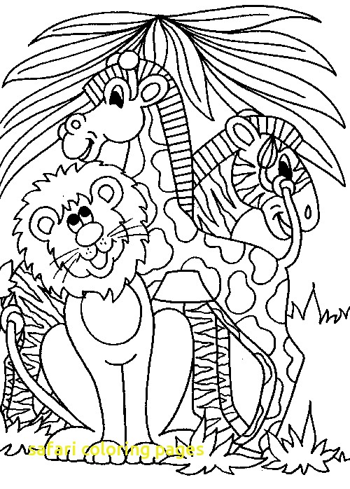500x698 Safari Coloring Pages Fresh Safari Coloring Book