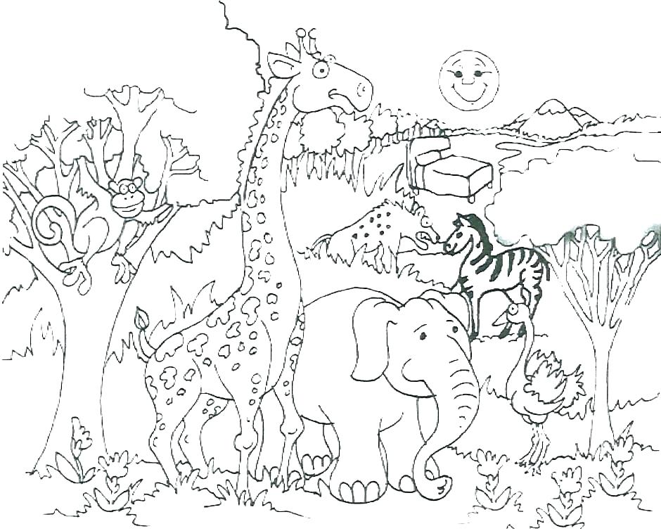 940x755 Coloring Pages Of Jungle Animals Jungle Animals Coloring Page