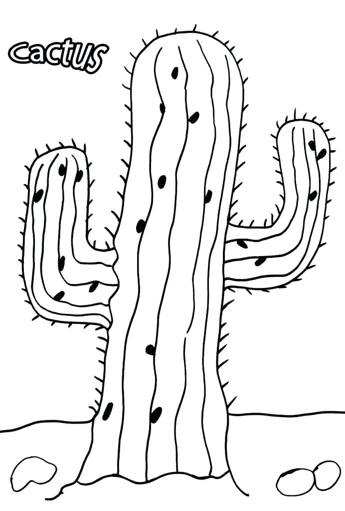 692x1024 Cactus Coloring Pin Drawn Cactus Coloring Page Free Printable