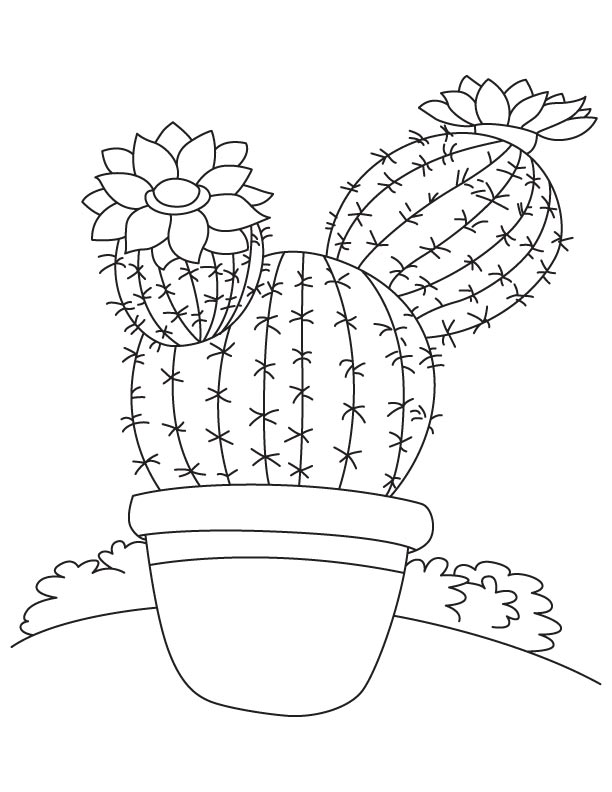 612x792 Cactus Coloring Page Amazing Cactus Coloring Page On Model