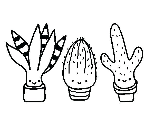 600x470 Saguaro Cactus Coloring Page S Saguaro Cactus Blossom Coloring