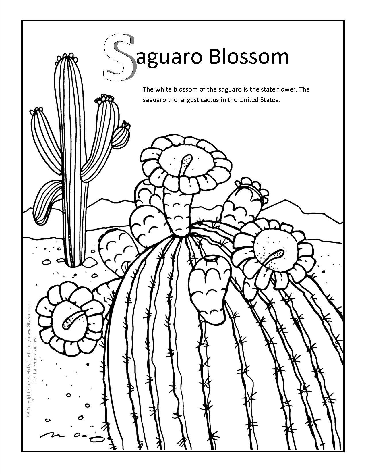 1275x1650 Stunning Saguaro Cactus Coloring Page For Your With Saguaro
