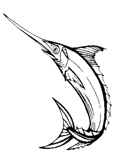 400x558 Sword Fish Coloring Page Coloring Book