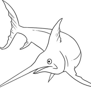 300x300 Swordfish Is A Monster Fish Coloring Page Color Luna