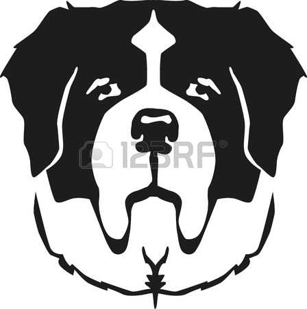 448x450 Saint Bernard Clipart Drawing