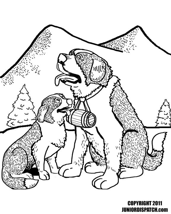 576x720 St Bernard Coloring Page Free Printable Coloring Pages St Bernard