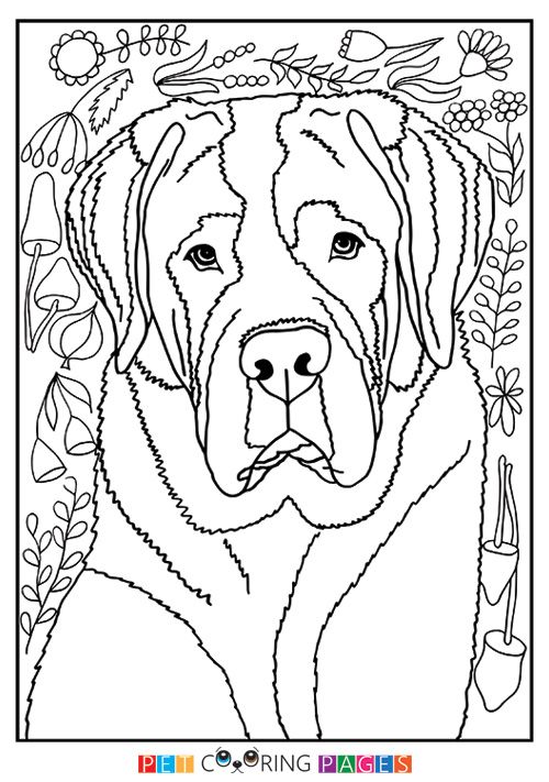 500x711 Saint Bernard Coloring Page Diy Free Printable