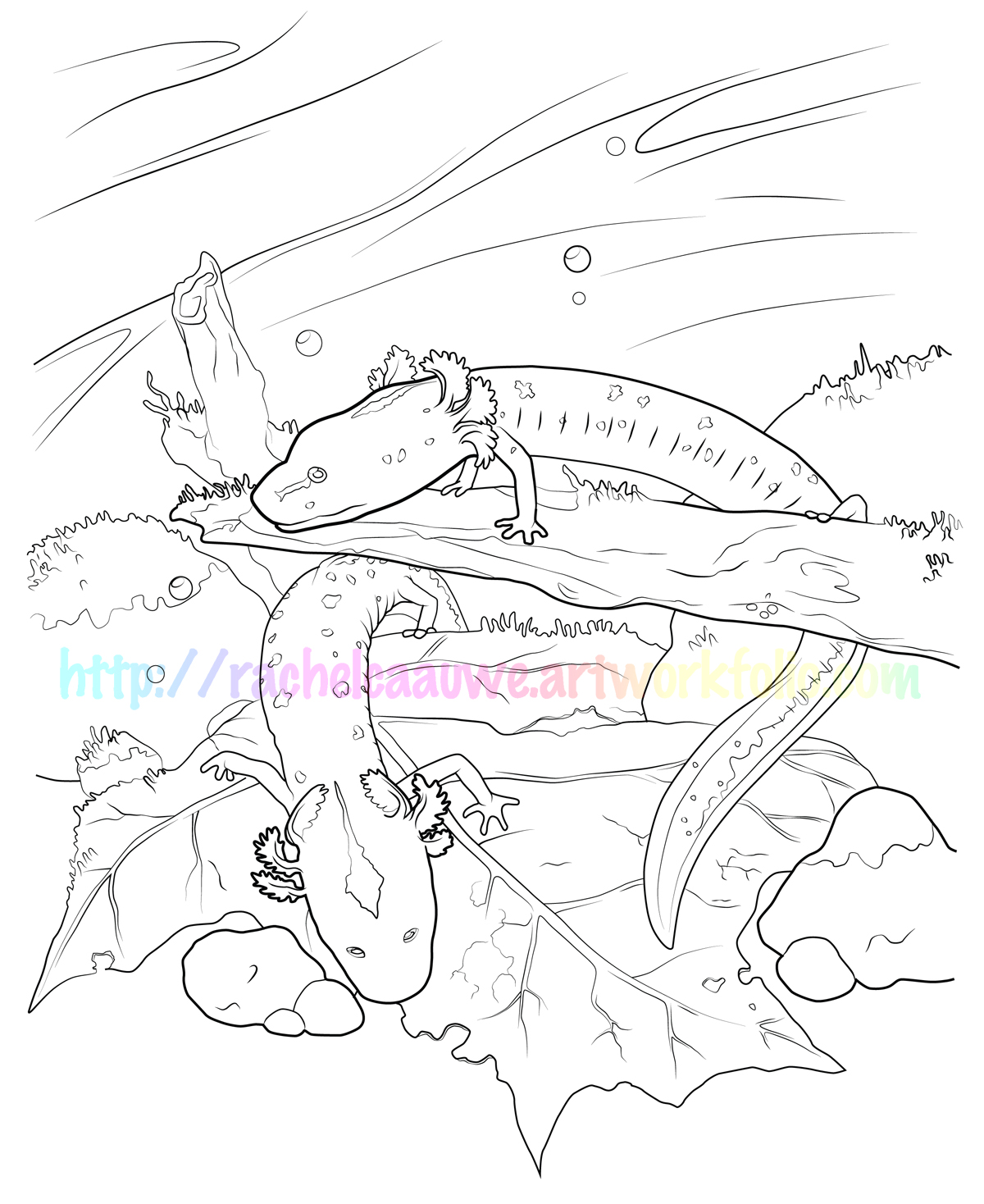1200x1468 Salamander Coloring Page