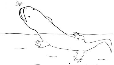 400x230 Awesome Puffin Coloring Page Collection Printable Coloring Sheet