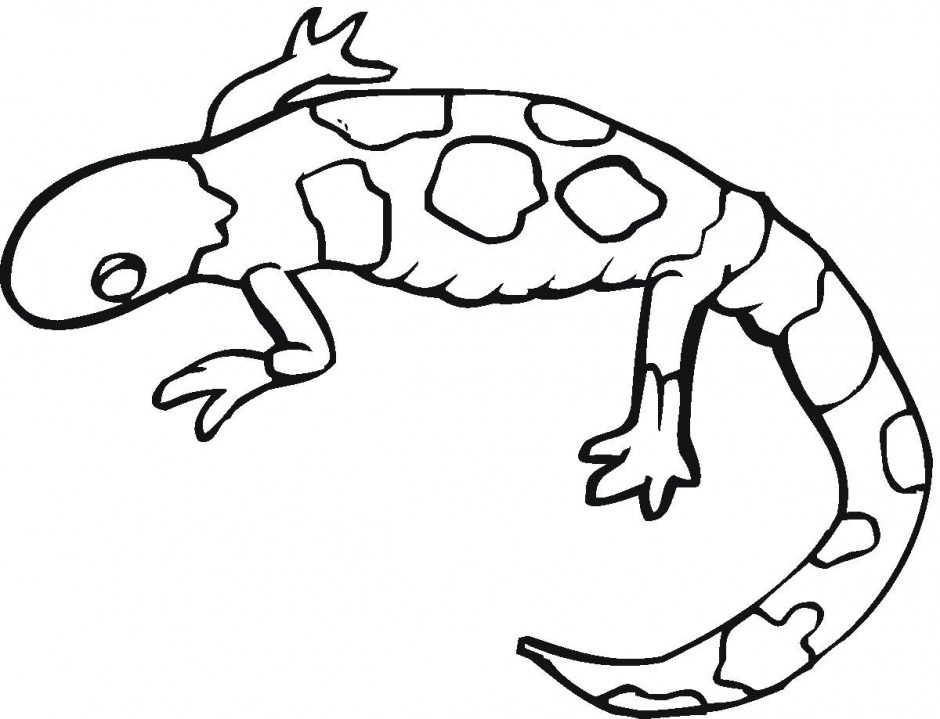940x719 Bearded Dragon Coloring Pages