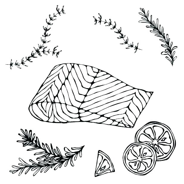 618x618 Salmon Coloring Pages Salmon Coloring Pages Sketch Coloring Page