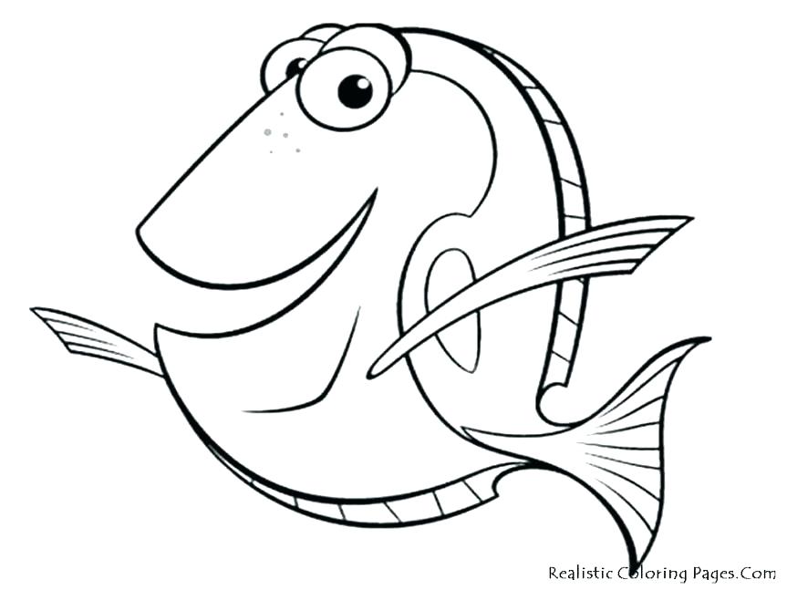 863x647 Salmon Coloring Pages