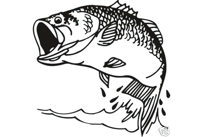 830x562 Fish Coloring Page Pretty Inspiration Ideas Bass Fish Coloring