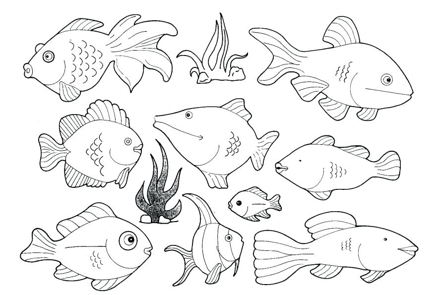 875x595 Ocean Fish Coloring Pages Ocean Fish Coloring Pages Fish Coloring