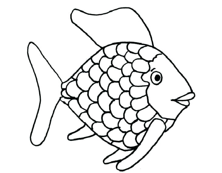 730x569 Tropical Fish Coloring Page Tropical Fish Coloring Pages Free