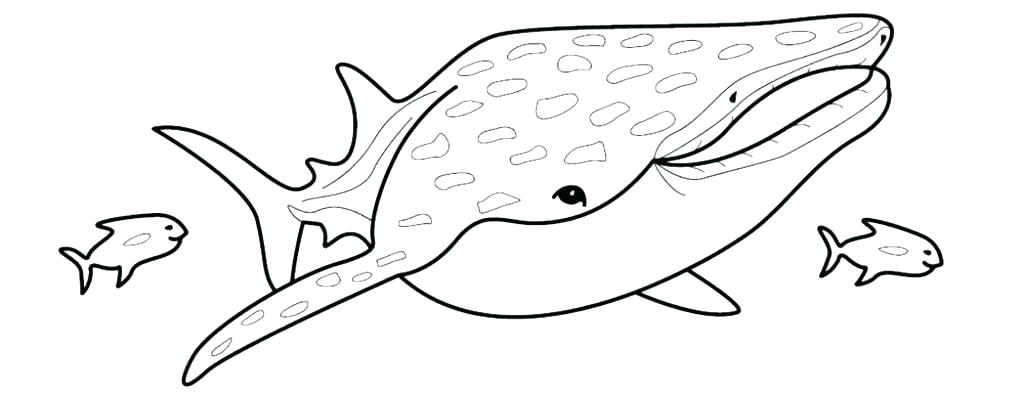 1024x393 Shark Coloring Pages Printable Sharks Coloring Pages Printable