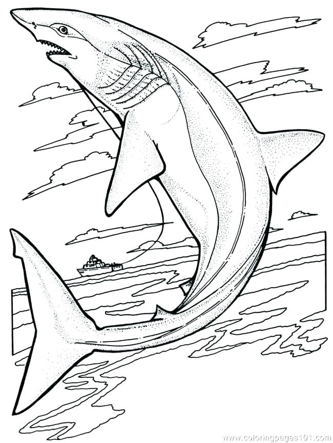 650x864 Shark Printable Coloring Pages Free Shark Coloring Pages Coloring