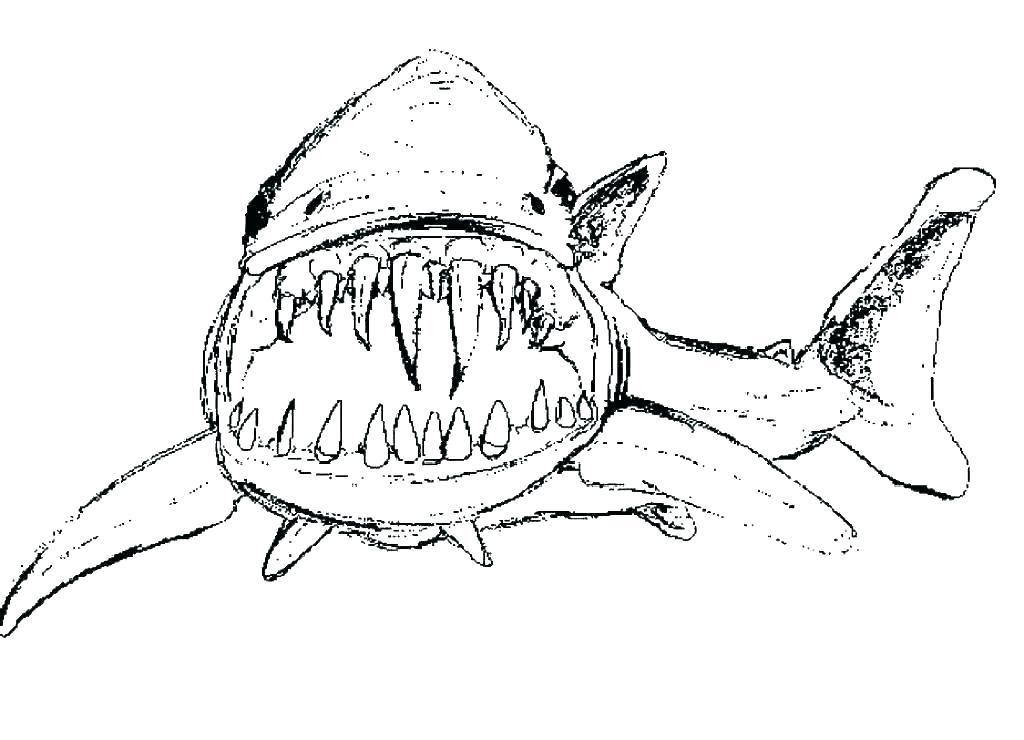 1024x740 Sharks Coloring Pages Great White Shark Coloring Pages Free Kids